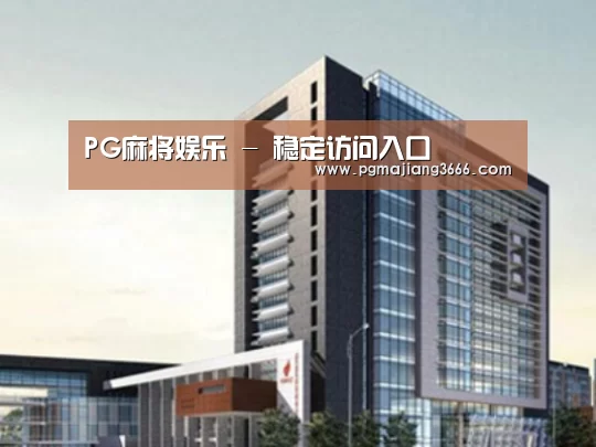 PG麻将娱乐案例展示四
